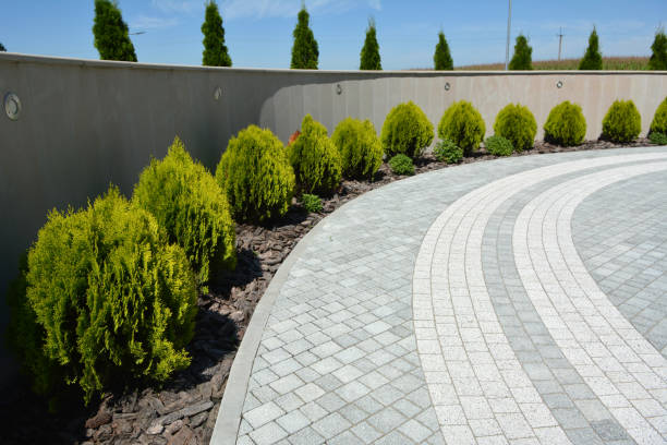 Reasons to Select Us for Your Driveway Paving Requirements in Roosevelt, NJ